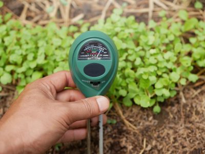 a close-up of a hand holding a soil moisture meter with a green casing, used to measure the moisture level, pH, and light intensity of soil.