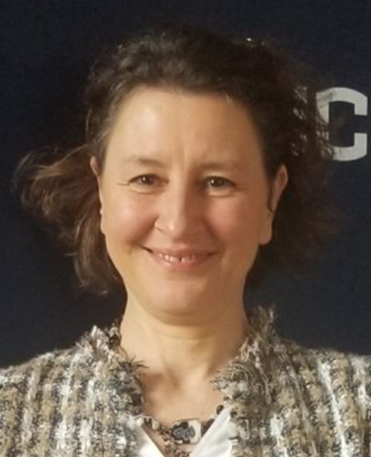 Jasna Jankovic Associate Professor MSE
